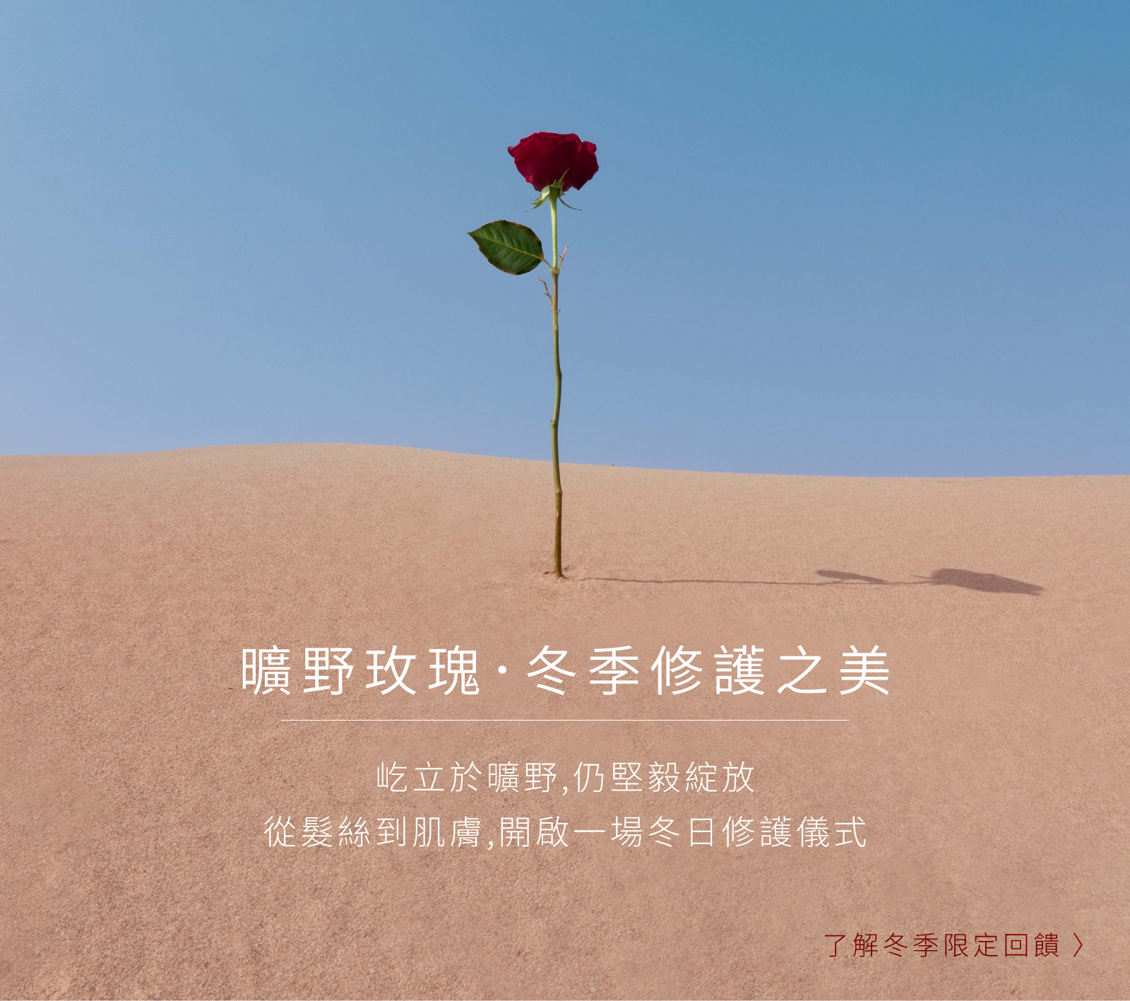 11/20-12/24新檔期(曠野玫瑰主活動頁)