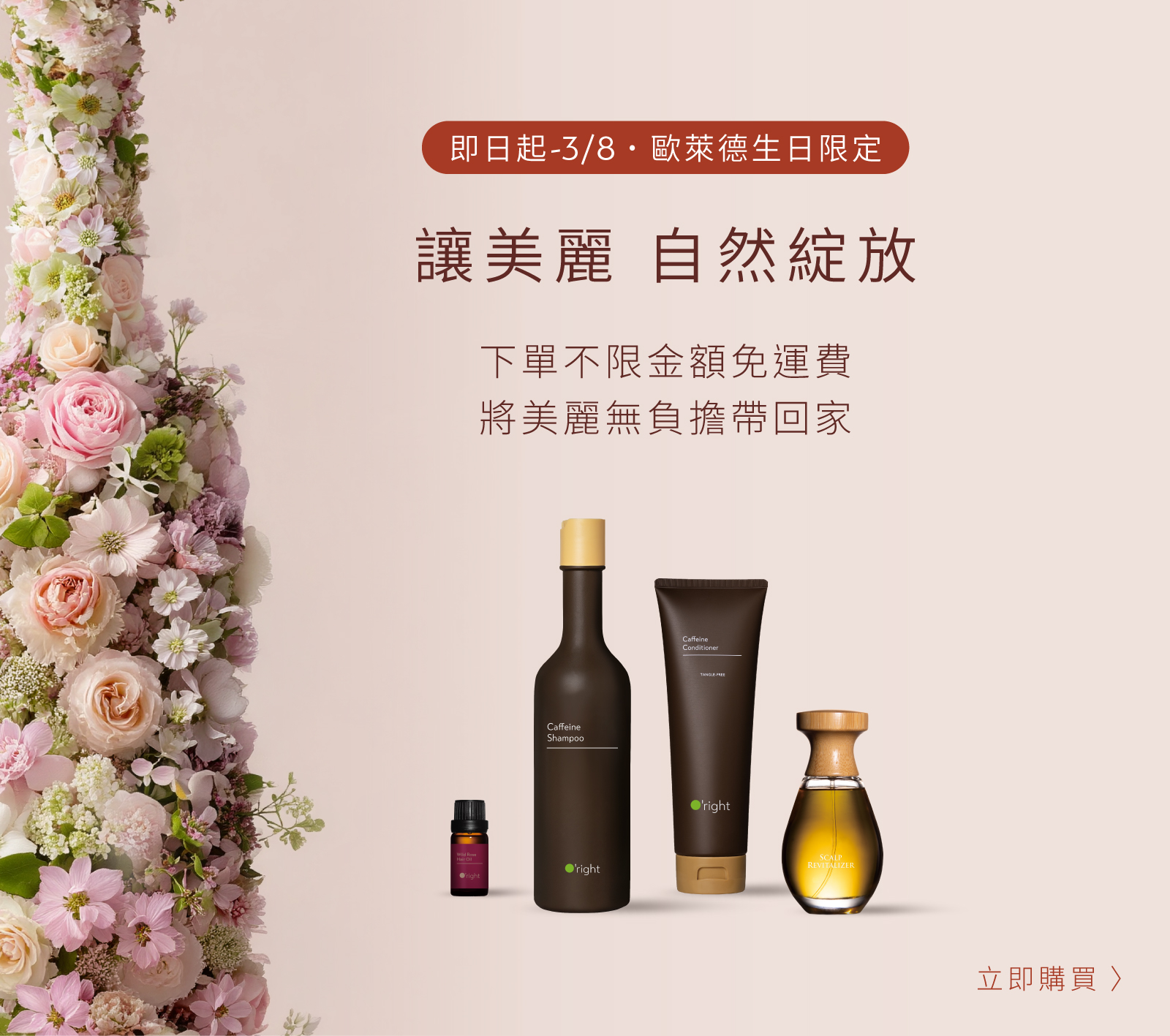 【260308】品牌日免運