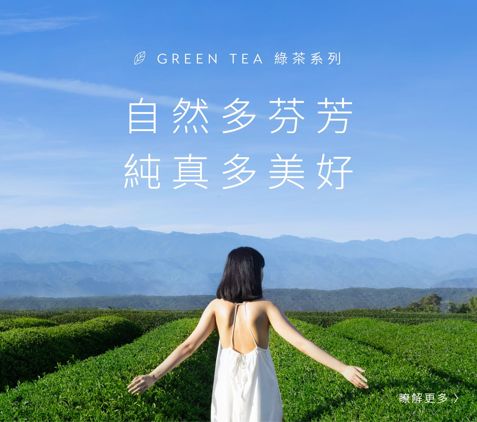 【260309-260331】綠茶典藏系列