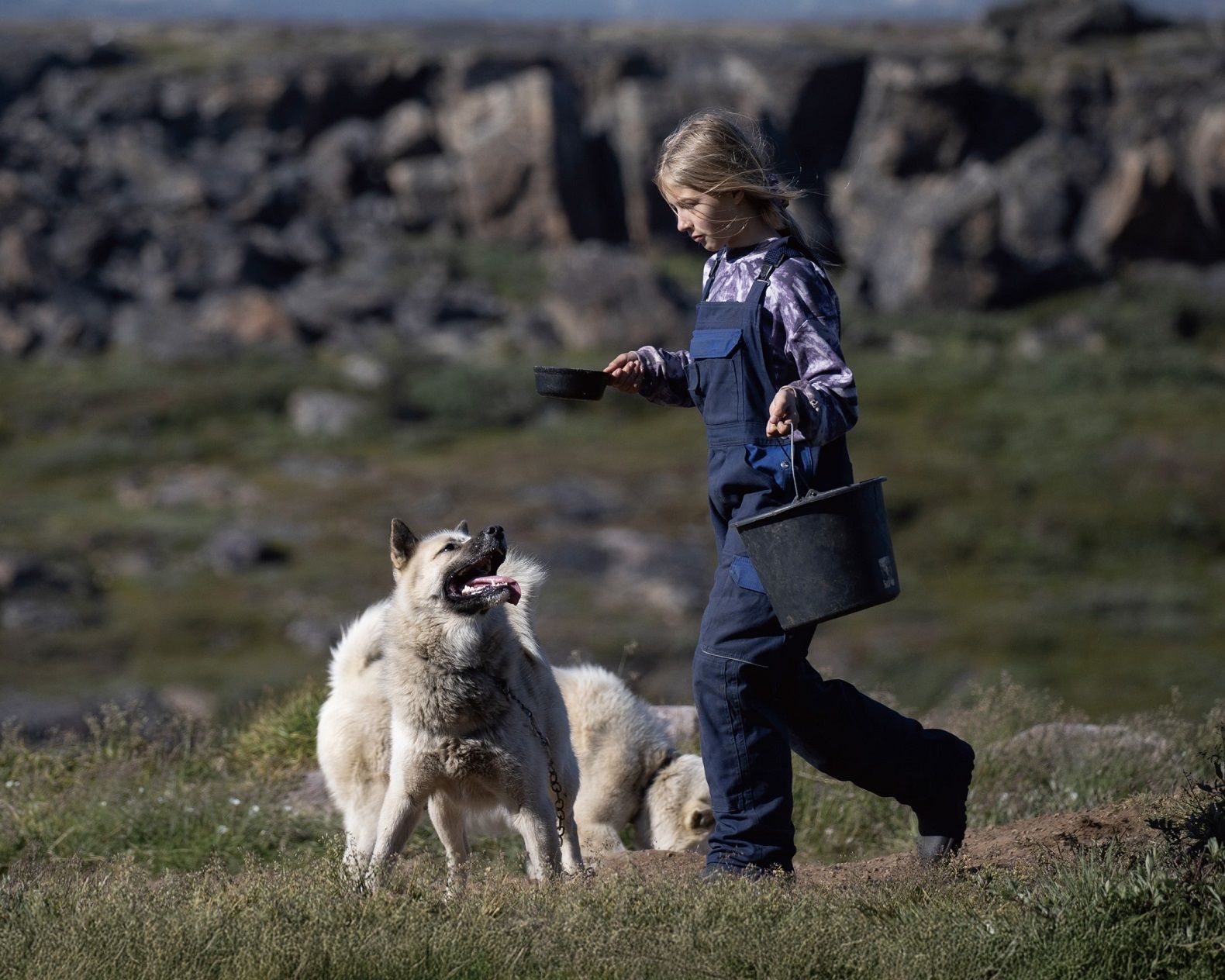 全產品純素形象圖