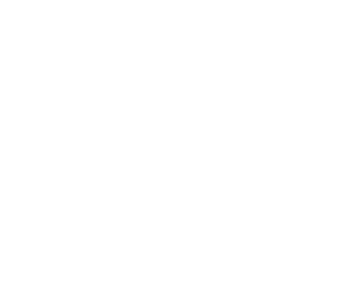 100% PCR
